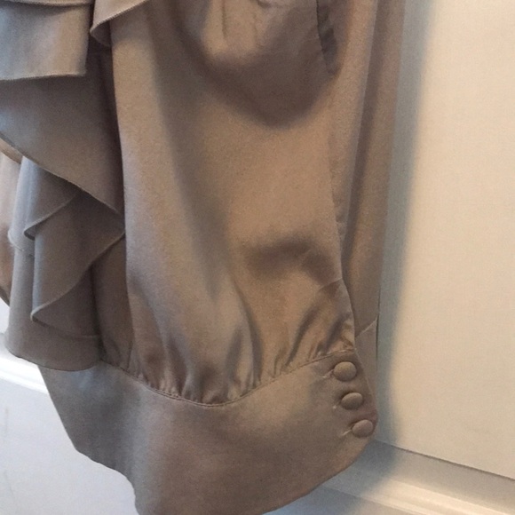 Nordstrom Rack Brown Ruffled Blouse - Picture 3 of 3